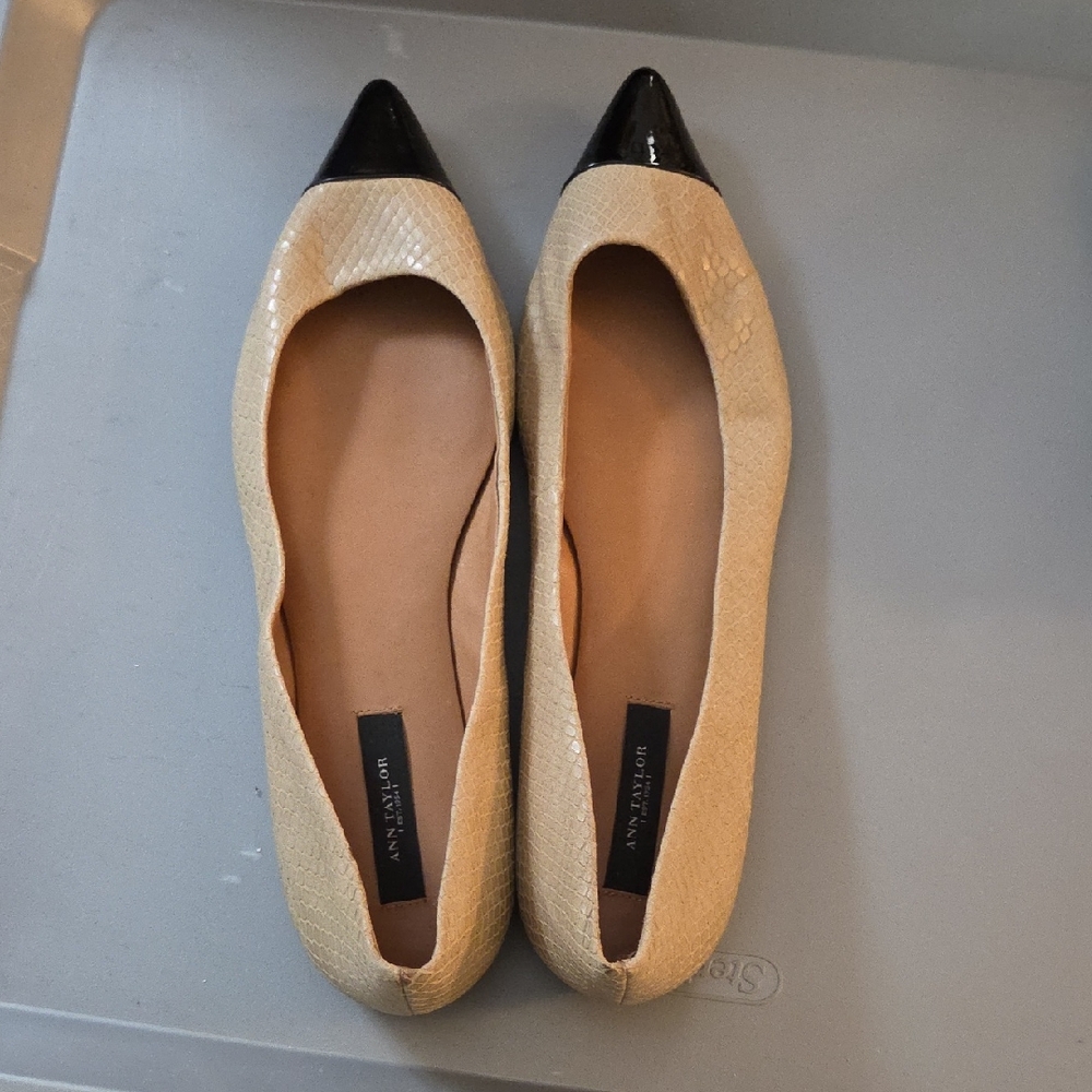 Ann Taylor Beige and Black Flats